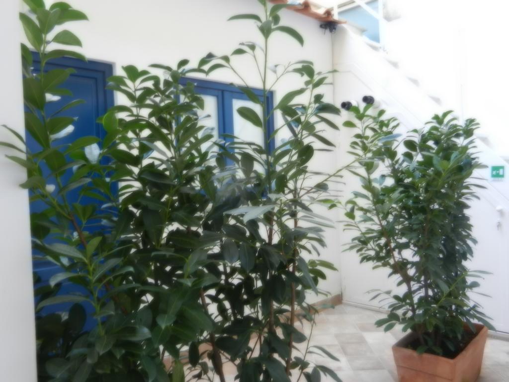 My Suite Соренто Стая снимка