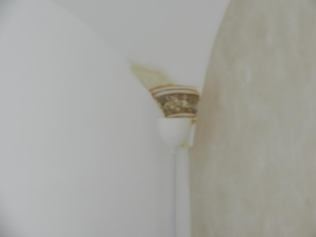 My Suite Соренто Стая снимка
